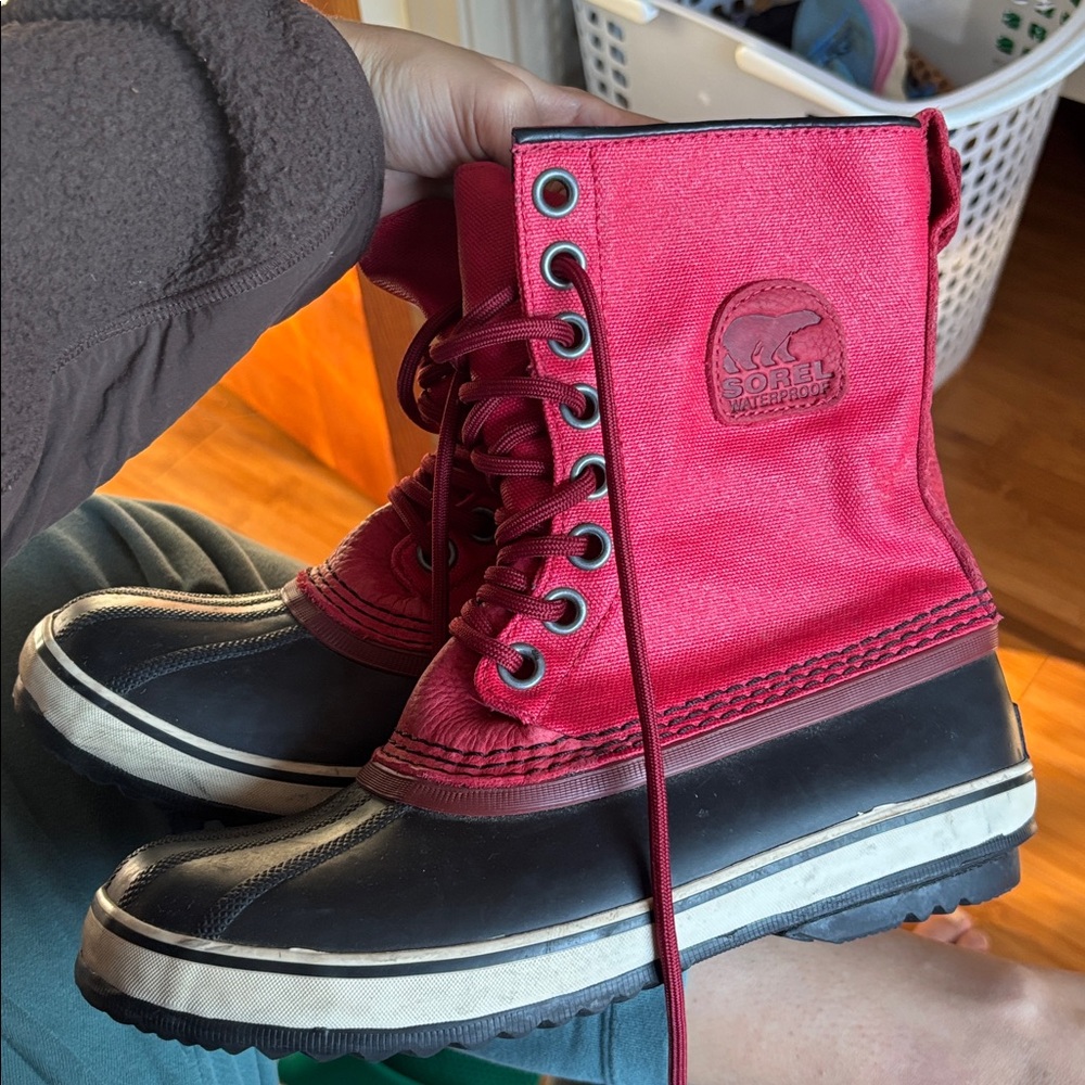 Red sorels - Picture 4 of 5